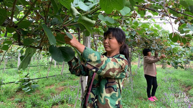 637565987518-14.jpg undefined